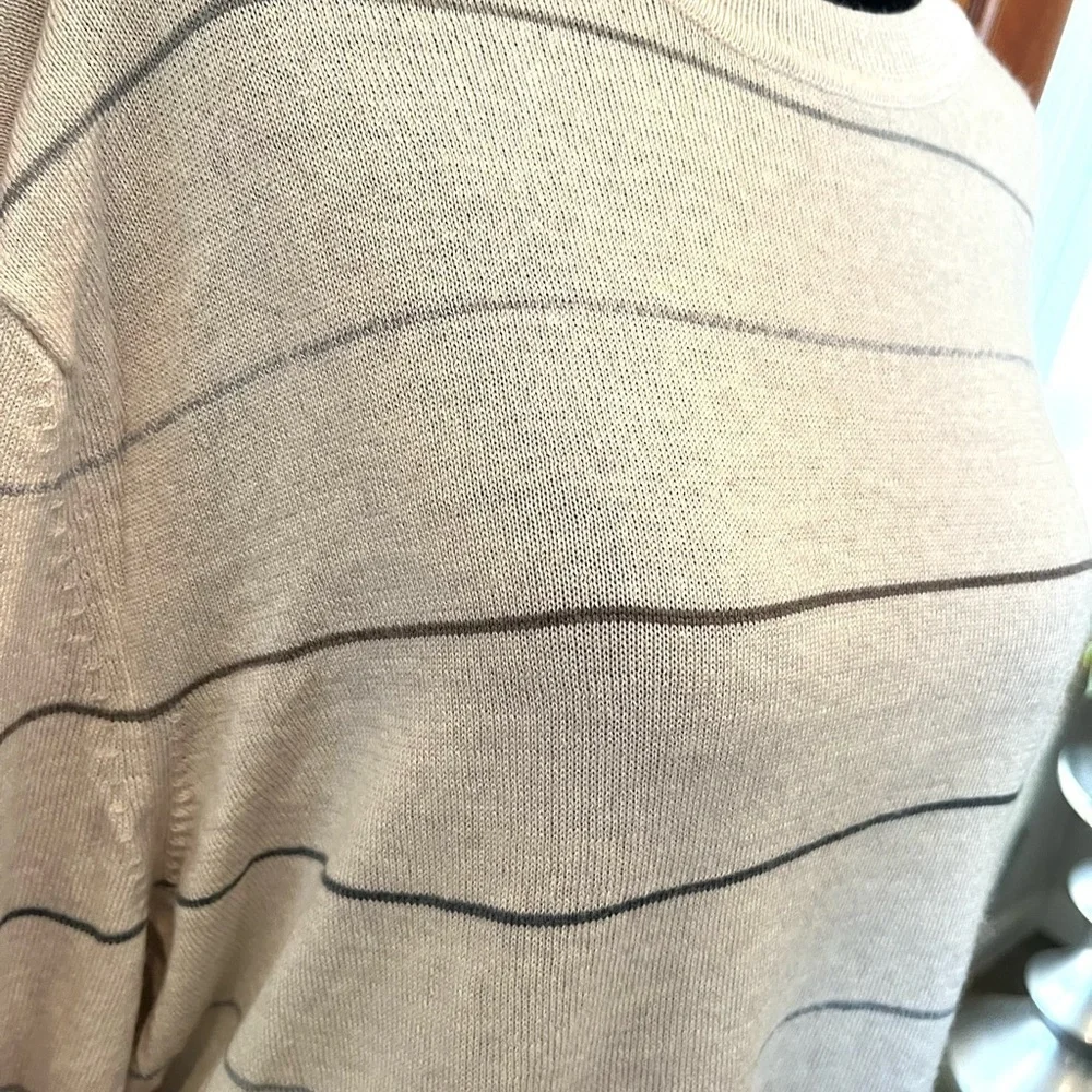 Banana Republic Mens XL Pullover 100% Merino Wool Sweater Beige Striped NWOT